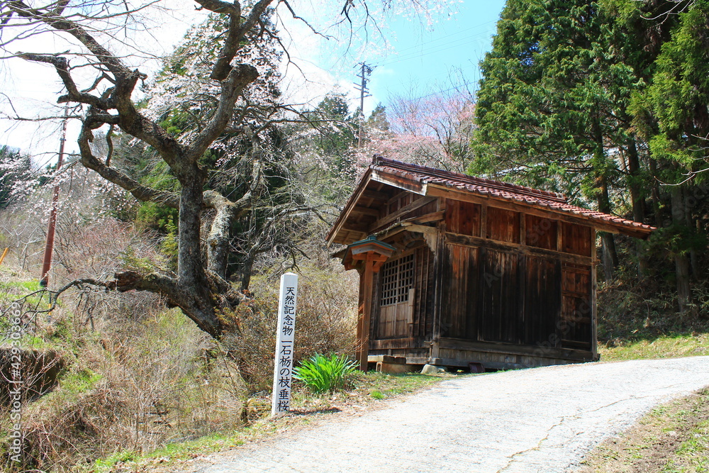 Hiking on the Nakasendo in the Japanese Alps between Nakatsugawa, Magome, Tsumago and Nagisu (中山道, 馬籠宿, 妻籠宿) | On the trail