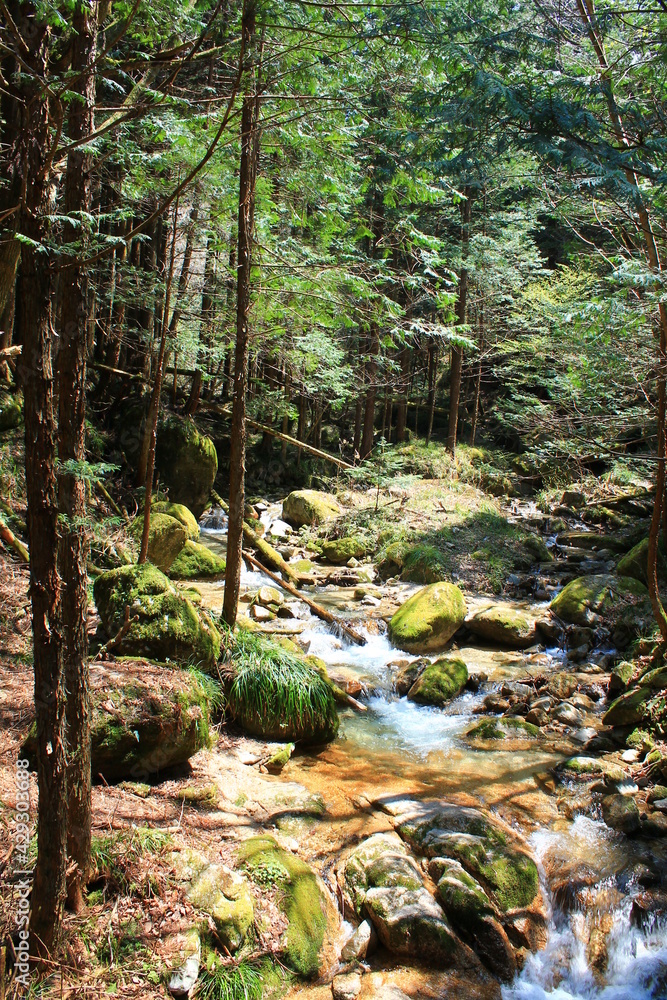 Fototapeta premium Hiking on the Nakasendo in the Japanese Alps between Nakatsugawa, Magome, Tsumago and Nagisu (中山道, 馬籠宿, 妻籠宿) | On the trail