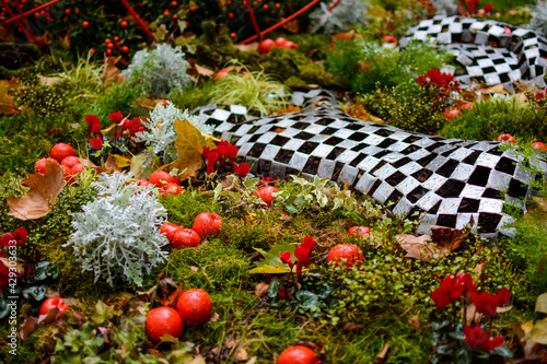 Blumenausstellung Lahr photo