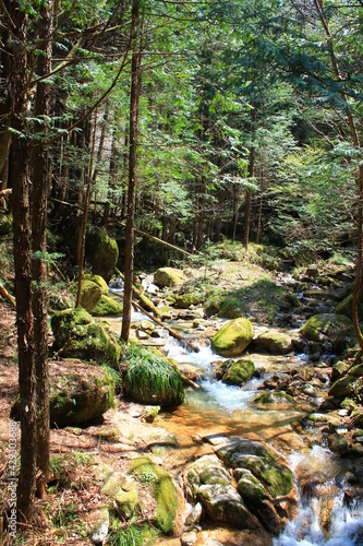 Hiking on the Nakasendo in the Japanese Alps between Nakatsugawa  Magome  Tsumago and Nagisu                                     On the trail