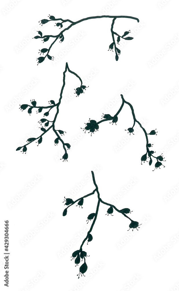 Obraz premium Set of isolated stylized images of blossoming tree branches. Openwork black silhouettes on a white background. The first spring flowers with long stamens, as a symbol of the awakening of nature.