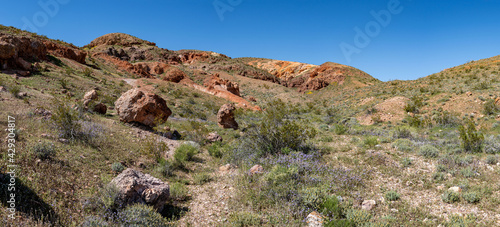 Rocks and Brush in Mojave Desert Wilderness