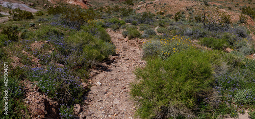 Rocky Dry Streambed in Mojave Desert photo