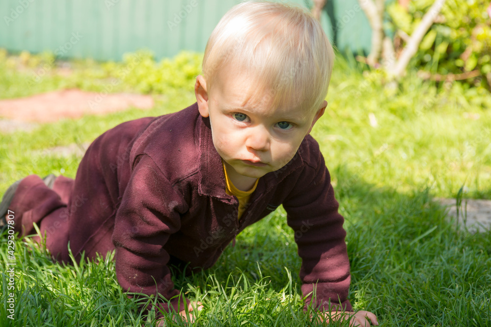 Little boy crawling on grass in a garden looking innocent at the camera Little boy crawling on grass in a garden looking innocent at the camera