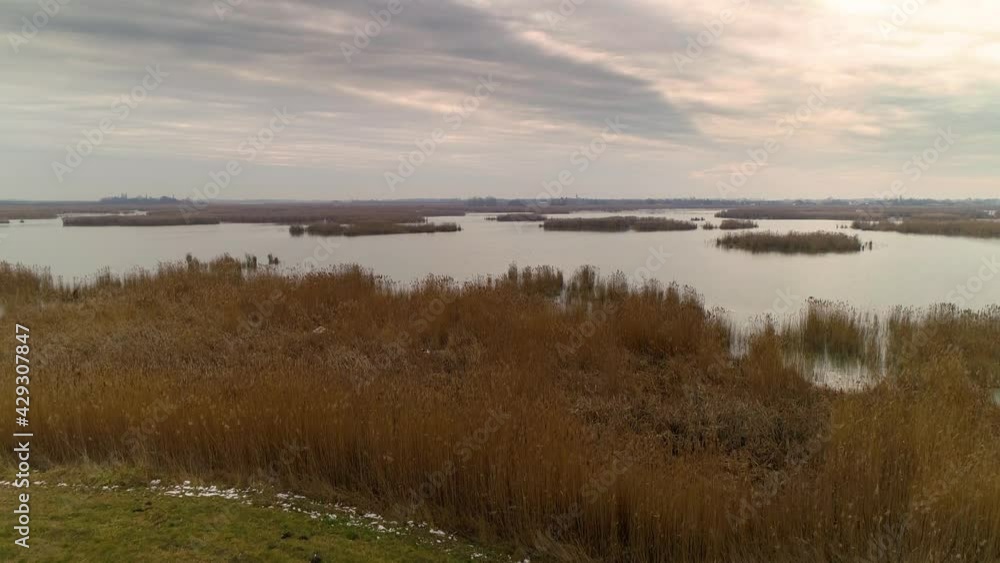 Aerial drone shot of untouched nature in Serbia, at dawn. Reed, bulrush islands. Aerial drone shot of untouched nature in Serbia, at dawn. Reed, bulrush islands.
