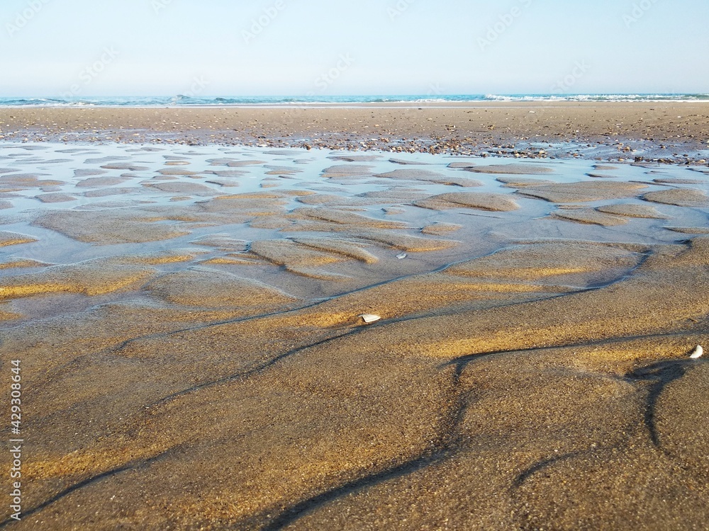 Fototapeta premium sand dunes in the morning