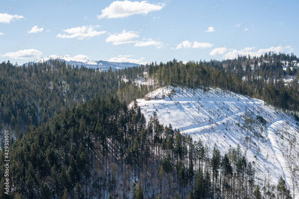 Beautiful views of the mountains and forest in winter. View from Mount Pogar. Slavsko. Carpathians. Ukraine.