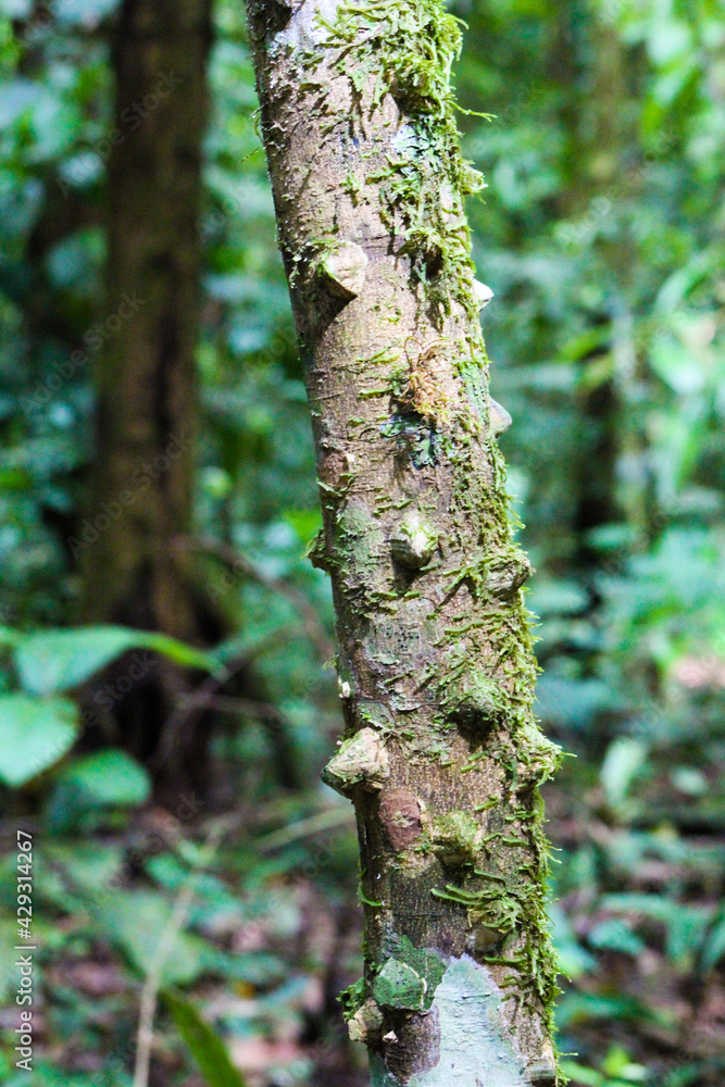 Obraz premium Don't Touch!