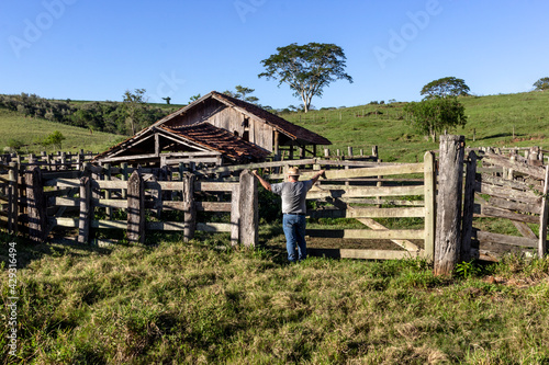 middle-aged farmer and cattle rancher observes an old corral to place the animals