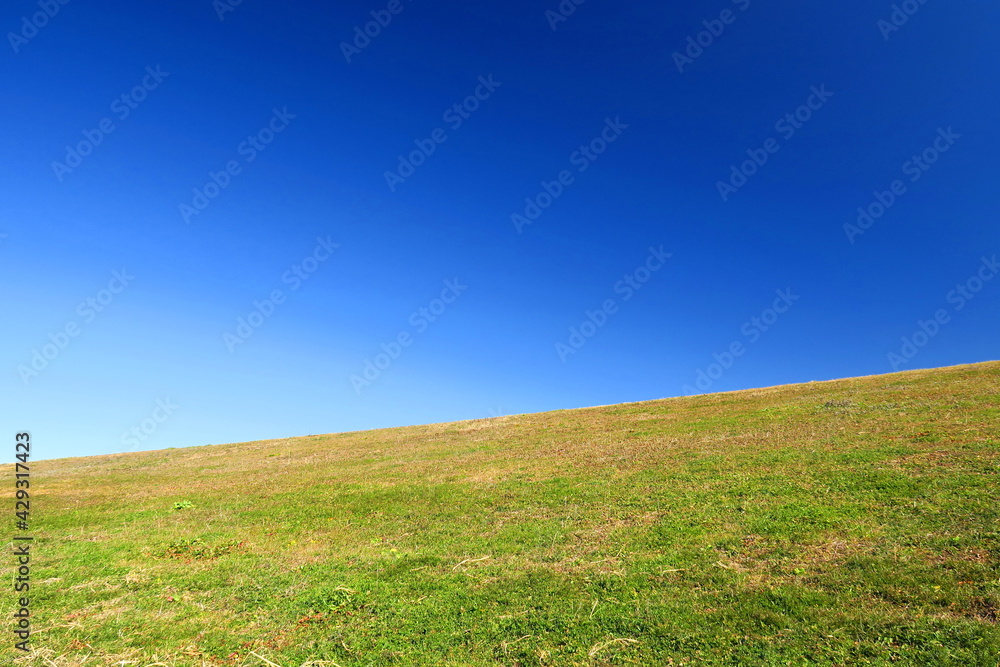 Fototapeta premium 除草後の枯れ草と若草の混じる冬の江戸川土手風景