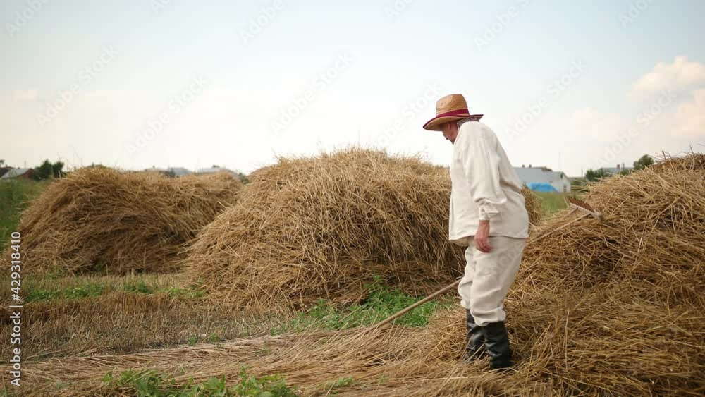 Tired grandfather after hard work sits down on a haystack, rests, wipes sweat Tired grandfather after hard work sits down on a haystack, rests, wipes sweat