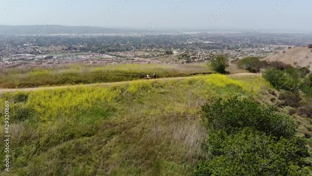 Spring is in the air in Southern California. The wild flowers are in bloom and making the foothills gorgeous. Spring is in the air in Southern California. The wild flowers are in bloom and making the foothills gorgeous.