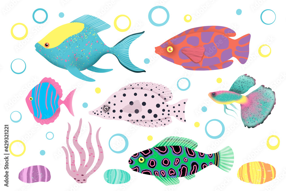 Set with bright and colorfull fish illustration 
