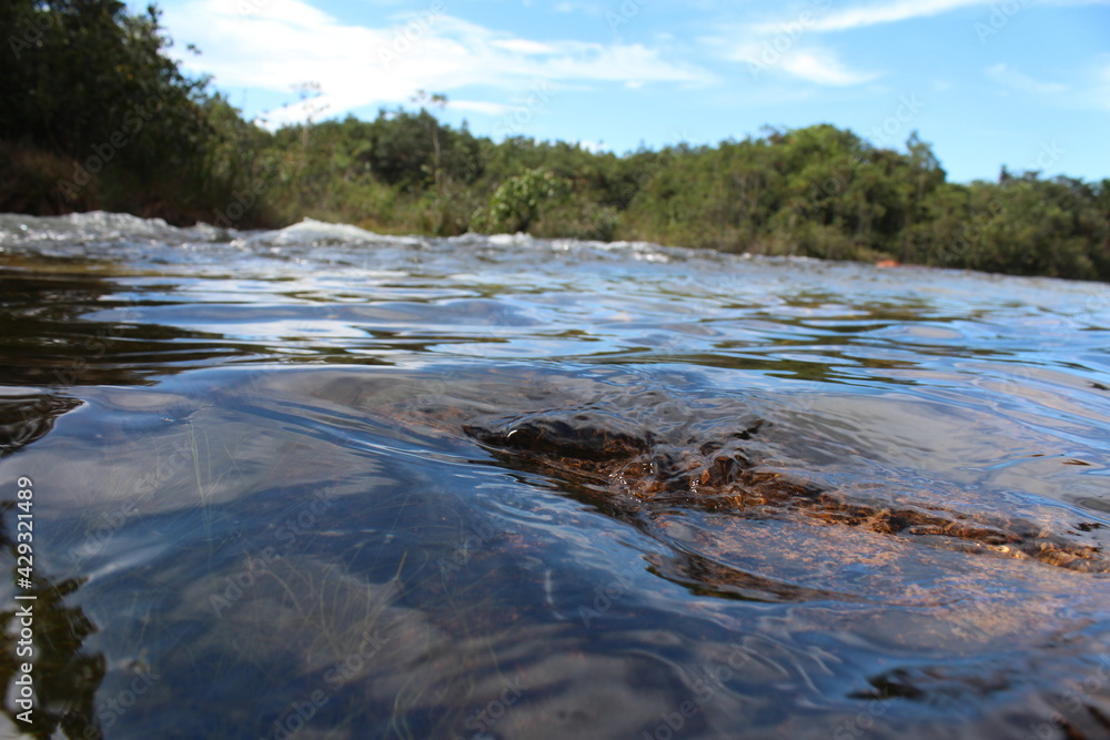 river river
