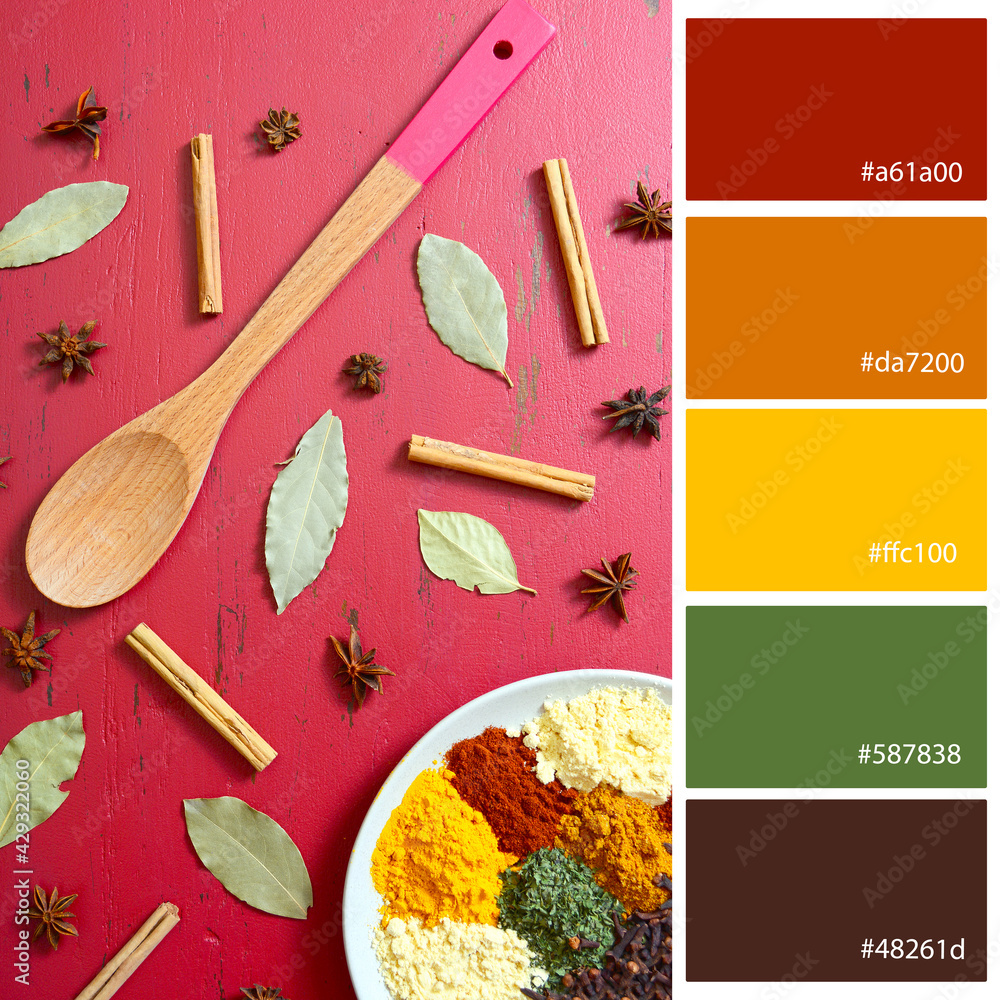 Designer Pack Color Palette inspired by cooking with colorful spices