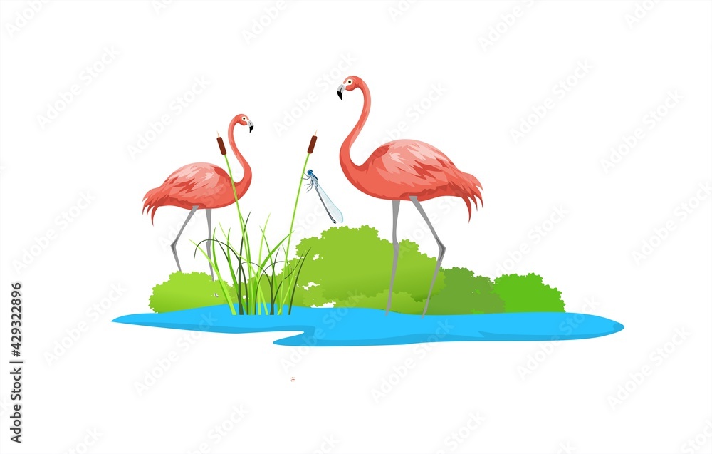 Obraz premium Couple of pink flamingos on the lake, wildlife, naatural landscape vector