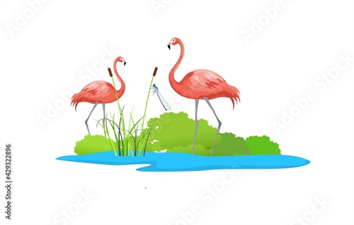 Couple of pink flamingos on the lake,  wildlife, naatural landscape vector