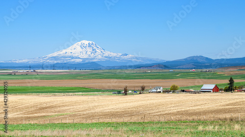 Mount Adams across the farmland of Klickitat County under clear blue sky in spring with the active volcano dominating the horizon photo