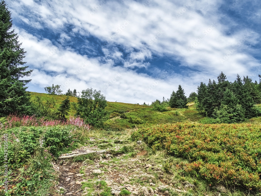 A pedestrian hiking trail at mount Arber, a mountain in the bavarian forest