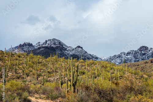 Sabino Canyon in Tucson AZ