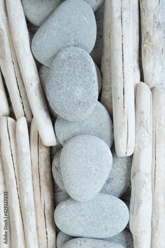 Photography Driftwood