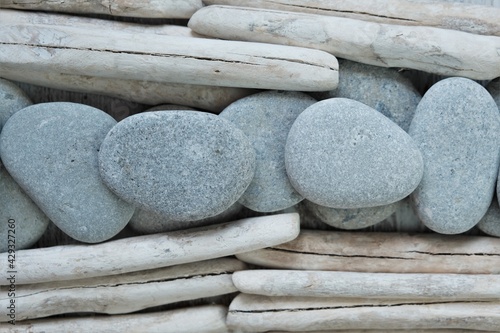 Photography Driftwood