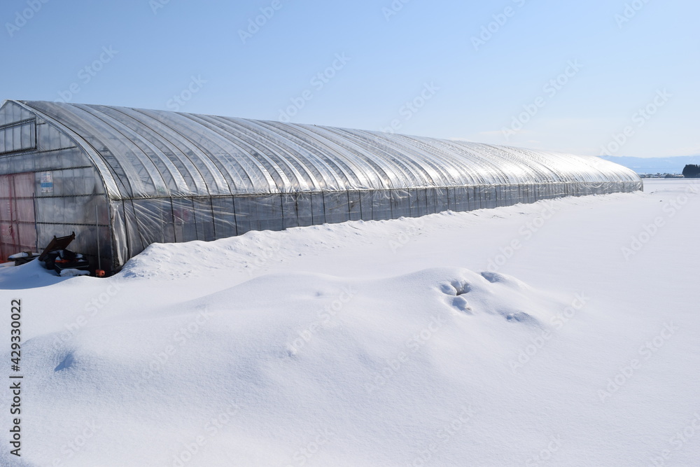 Obraz premium ビニールハウス 雪景色