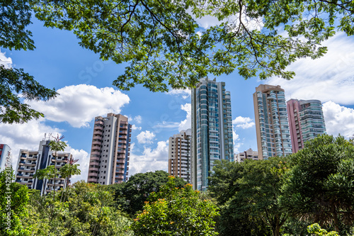 paisagem do parque Ceret em S  o Paulo 