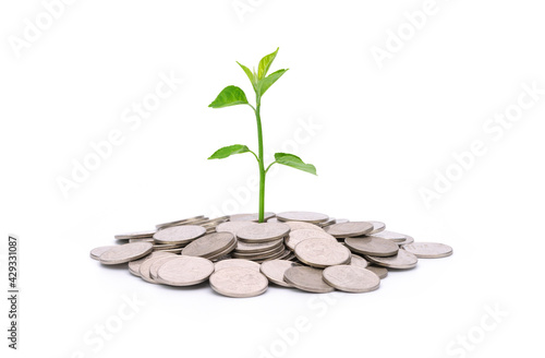 pile of currency coins With growing plants Business ideas, investments and profits Isolated on white background