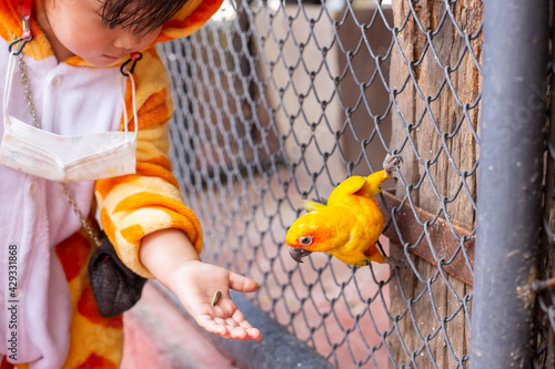 A cute Asian girl wearing a giraffe costume in a new normal state with a face mask, Go on a trip in the zoo, feed the Parrot in the large cage.