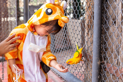 A cute Asian girl wearing a giraffe costume in a new normal state with a face mask, Go on a trip in the zoo, feed the Parrot in the large cage.