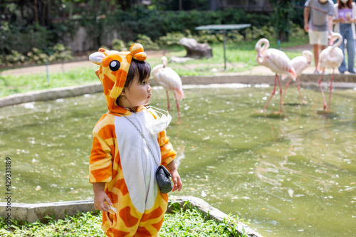 Fototapeta Naklejka Na Ścianę i Meble -  A cute Asian girl wearing a giraffe costume in a new normal state with a face mask, Go on a trip in the zoo, Stand and watch the flamingo birds in the garden.