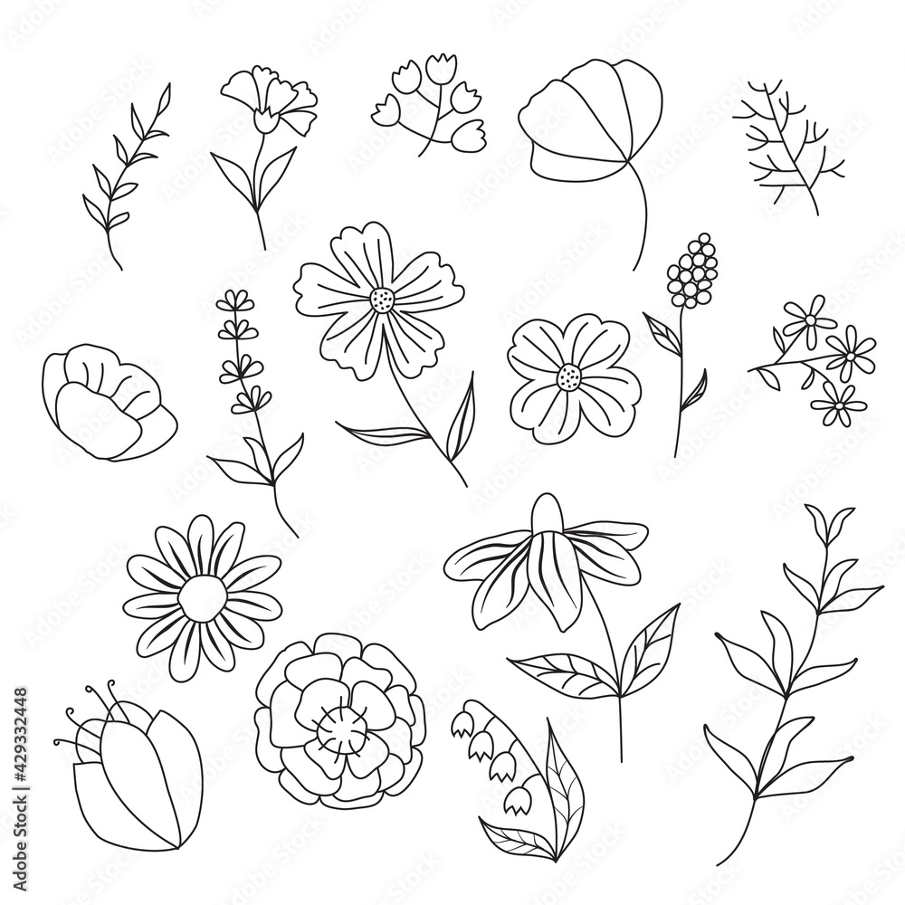 Set of summer flowers and herbs. Black contour on a white background. Vector illustration in doodle style