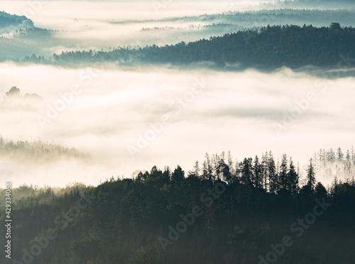 Colorful fog in the mountain valley. Landscape with forests