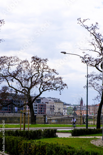 city park in spring