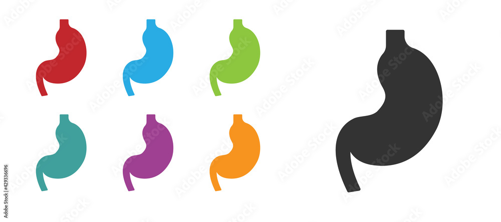 Black Human stomach icon isolated on white background. Set icons colorful. Vector