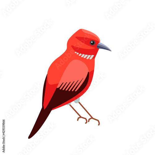 Exotic red bird Apapane Hawaiian Honeycreeper. Rare bird of the critically endangered Apapane Endemic Bird of the Hawaiian. Cartoon flat vector illustration isolated on white background