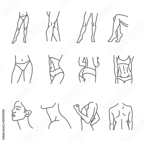 Female body icon set - thin line style, vector collection photo