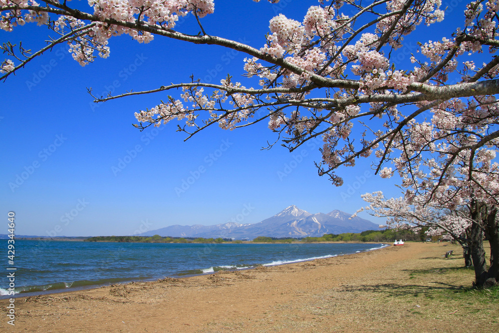 春の猪苗代湖と磐梯山（福島県・猪苗代町）