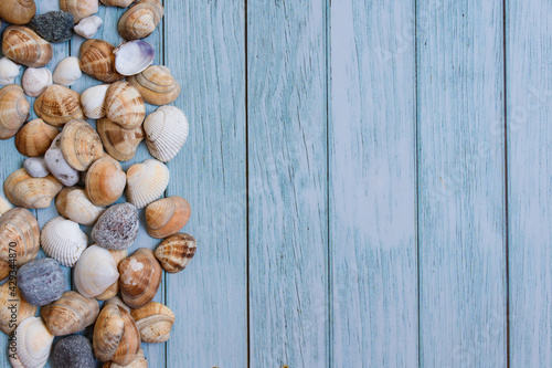 Summer beach background, seashells on light blue background. Top view. Sea summer vacation background