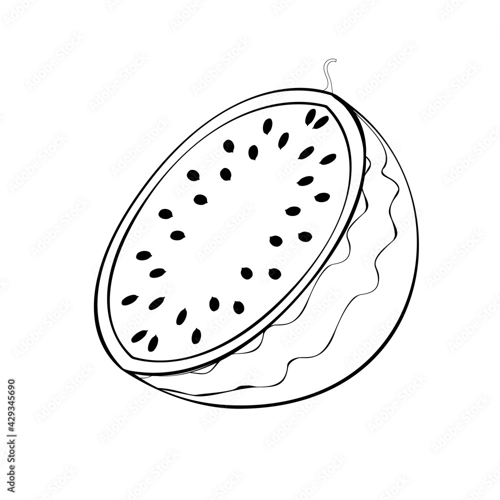 An outline jpeg illustration of a halved watermelon isolated on white background. Designed in black and white colors for prints, wraps and as a coloring page for kids and adults. An outline jpeg illustration of a halved watermelon isolated on white background. Designed in black and white colors for prints, wraps and as a coloring page for kids and adults.
