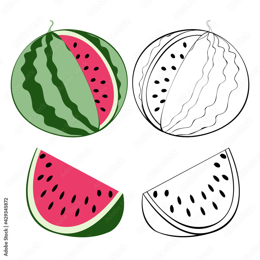 An outline jpeg illustration of four cut watermelons isolated on white ...