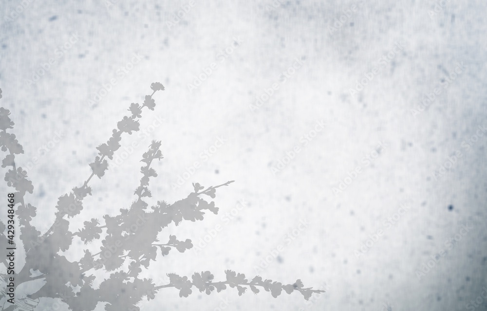 Obraz premium Background.
