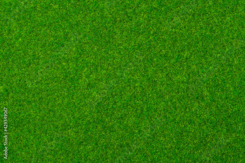 芝生、苔の背景テクスチャー