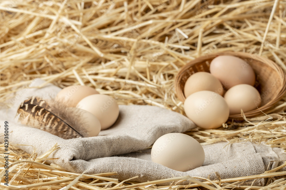 Eggs. Fresh chicken eggs from the farm. Fresh organic eggs on burlap in hay. Copy space. Eggs. Fresh chicken eggs from the farm. Fresh organic eggs on burlap in hay. Copy space.