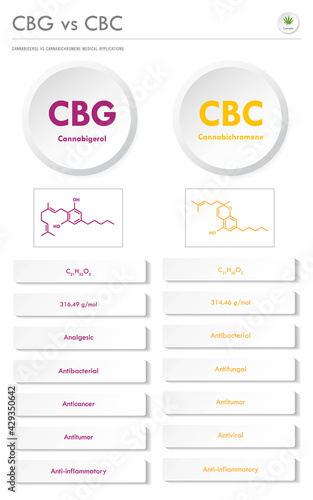 CBG vs CBC, Cannabigerol vs Cannabichromene vertical business infographic