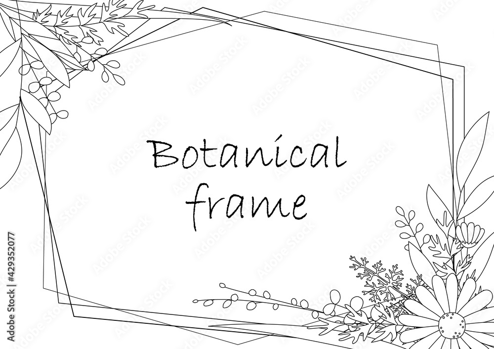 Botanical frame illustration. Invitation or greeting card templates (white background, vector, cut out) Botanical frame illustration. Invitation or greeting card templates (white background, vector, cut out)
