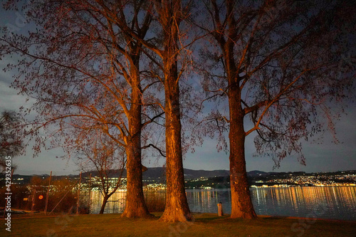 sunset in the park