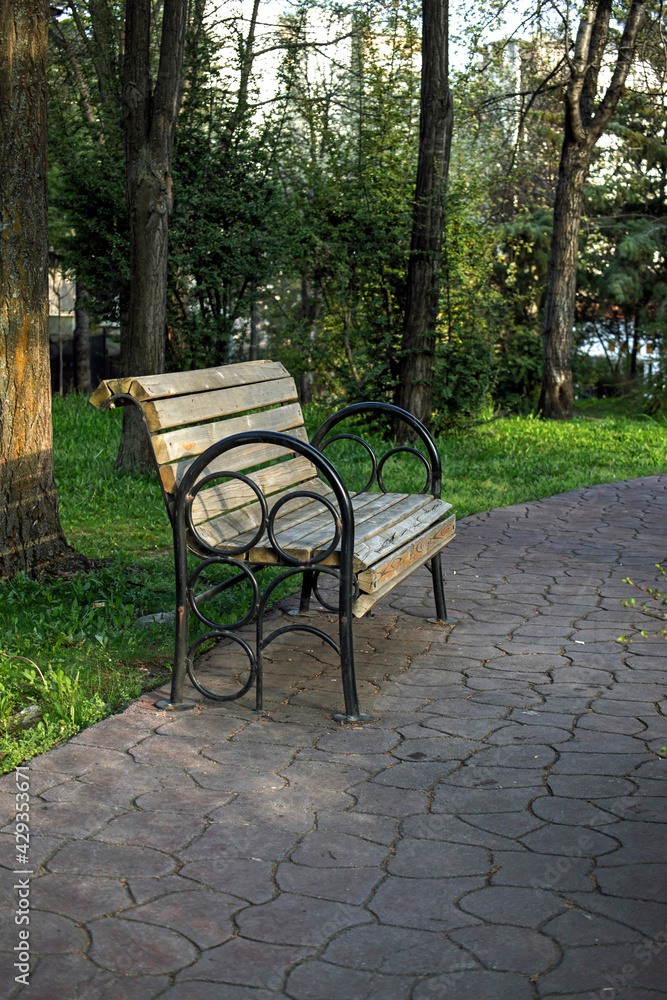 Bench standing empty in the park without people. pandemic process quarantine. Bench standing empty in the park without people. pandemic process quarantine.