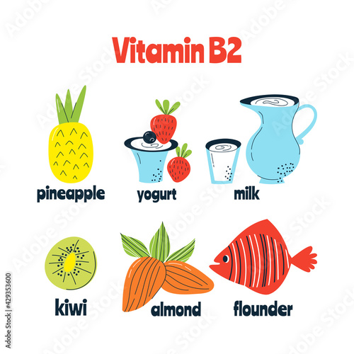 The main food sources of vitamin B2. Healthy food concept.